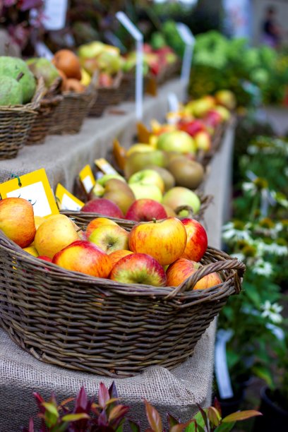 一幅市场摊位的肖像，上面陈列着满篮的生物和本地种植的水果。大多数篮子里装满了各种颜色的健康美味的苹果。图片下载