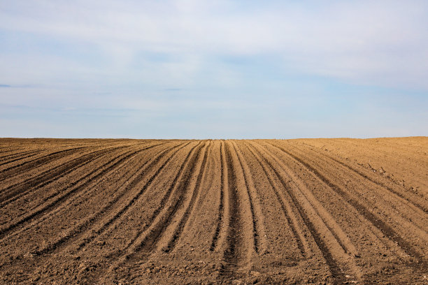 农业领域投资图片下载