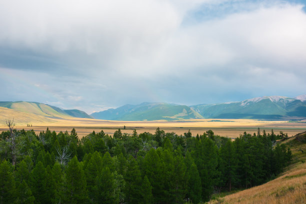 在多变的天气中，从森林到高山山脉在阳光下的壮观景色。色彩斑斓的风景，绿色的森林和阳光灿烂的草原，在多云的天空下，在巨大的山脉。图片下载