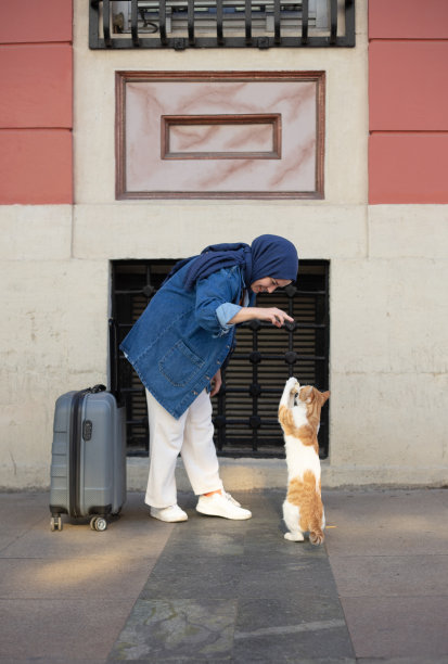 穆斯林女孩正在和流浪猫玩耍。图片下载