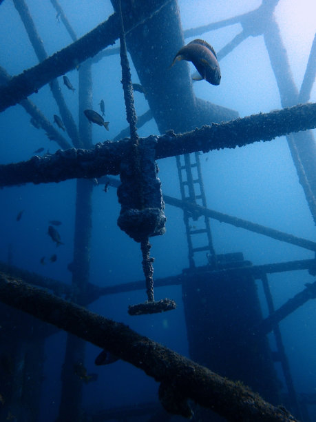 沉船上的通讯塔图片下载