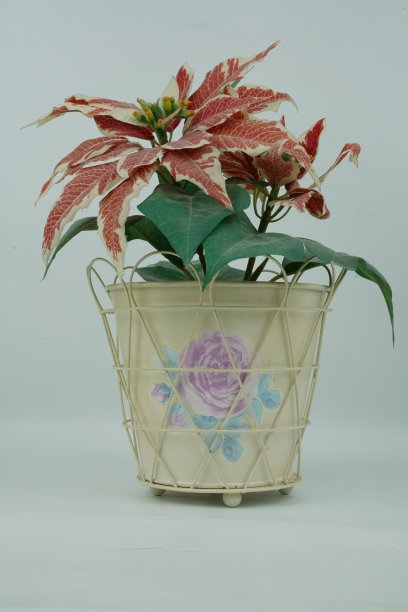 在白色背景的白色桌子上，一个白色花瓶里优雅的插花图片下载