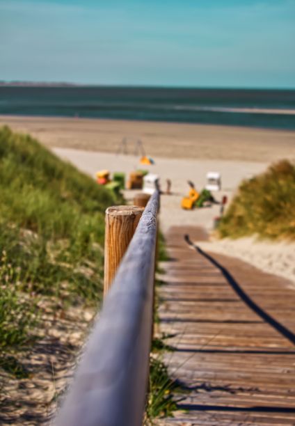 有选择的重点放在木质扶手和通往海滩的走道上图片下载