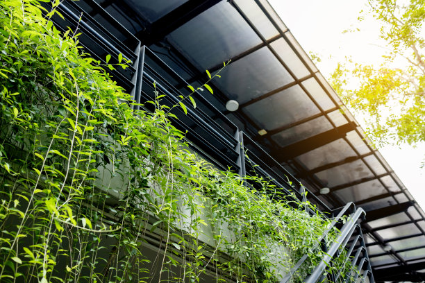 植物装饰种植在建筑物内外。环境友好型图片下载