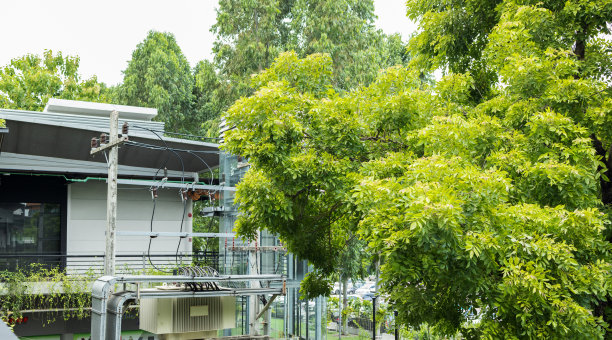 植物装饰种植在建筑物内外。环境友好型图片下载