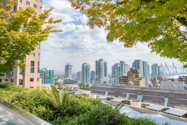 从图书馆、办公室和公寓的公共屋顶花园俯瞰图片下载