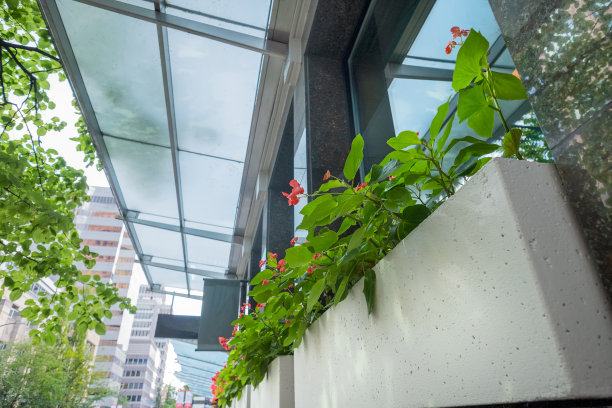 欢快的花卉和树木种植者排列在市中心的人行道上图片下载
