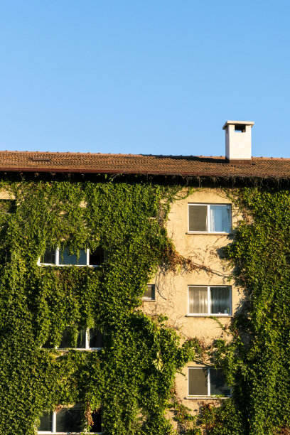绿色和自然友好型的建筑，完全被常春藤覆盖。图片下载