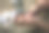 用老式筛子筛鹰嘴豆的人。图片下载
