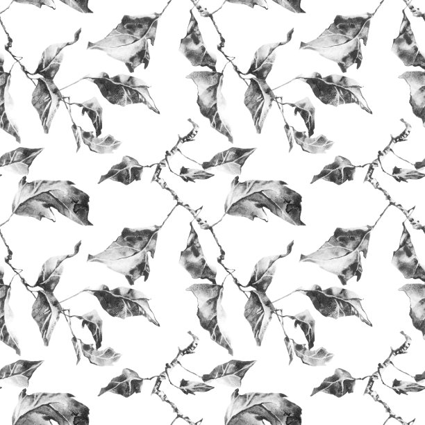 干树叶模式图片下载