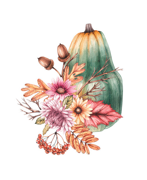 水彩南瓜花和干叶子在白色的背景图片下载