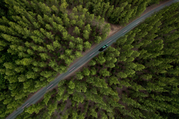 汽车穿过绿色的森林风景。空中自然景观的松树和道路穿插乡村小径通过松树探险旅行的概念图片下载