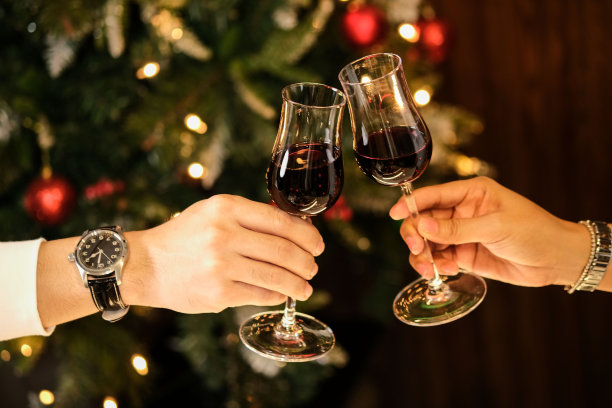 新婚夫妇喝着红酒庆祝，她和他，碰杯，优雅的用餐背景。庆祝圣诞节和元旦图片下载