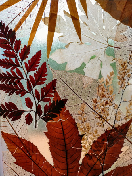 装饰干树叶树脂片图片下载