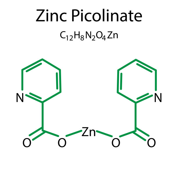 吡啶甲酸锌图标。矢量插图。股票的形象。图片下载