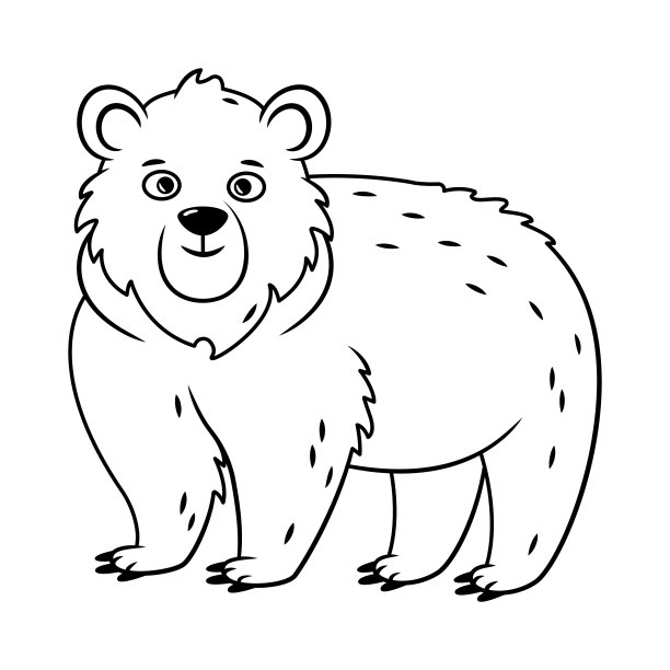 勾勒棕熊架的轮廓。森林里的动物。图片下载