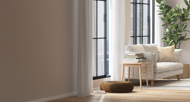 米色的空白墙和现代豪华的设计客厅，沙发和室内植物从窗户的阳光图片下载