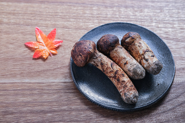 秋天是松茸的季节图片下载