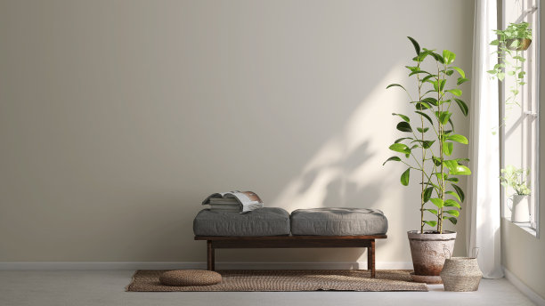 健康的绿色小提琴叶无花果树和长凳在奶油色墙壁的房间，阳光从窗户图片下载