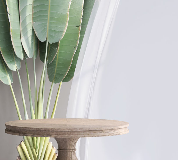 优雅的圆形木座边桌与白色窗帘和阳光从窗户上米色的墙图片下载