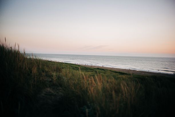 在街头表演的天空下，沙滩上野草生长的美丽照片图片下载