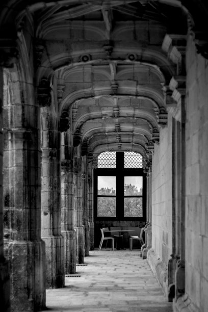 建筑外走廊的垂直灰度照片图片下载