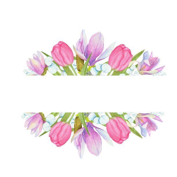 水彩画框架的木兰和郁金香花和桉树树枝。图片下载