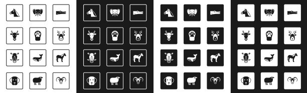 套鳄鱼爪印牛头马鹿用图片下载