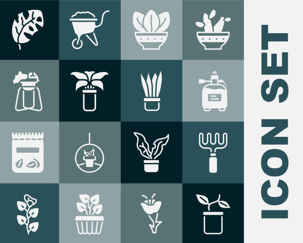 盆栽栽植于花园耙喷雾器中图片下载