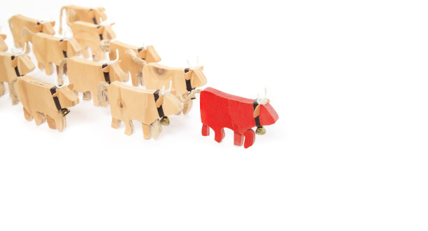 红牛前面的一群牛组成了一个从上到左到右的箭头。图片下载