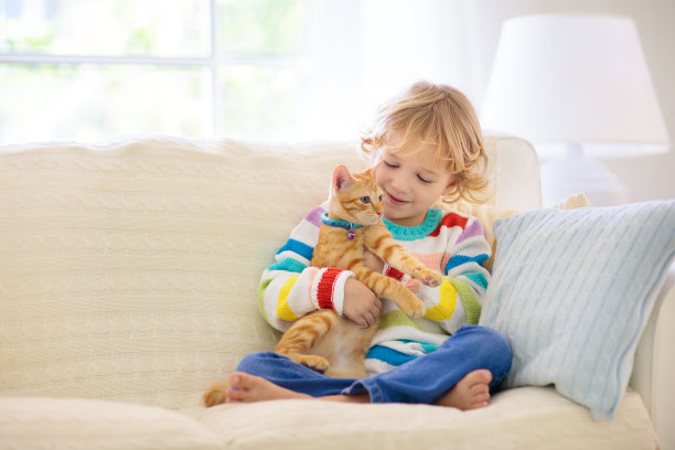 和猫玩耍的孩子。孩子和小猫。图片下载