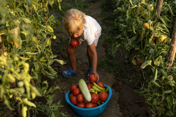 花园里的小女孩图片下载