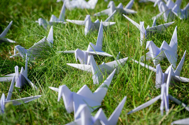 日本1000折折纸鹤在新鲜的草地上图片下载