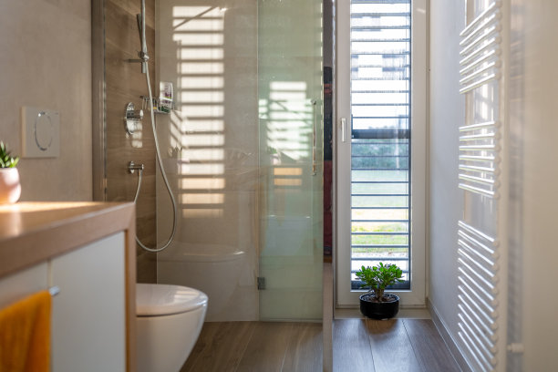 现代设计的家庭室内，浴室淋浴和厕所图片下载