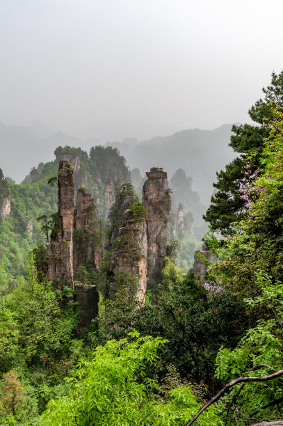 中国湖南省武陵源区张家界国家森林公园图片下载