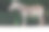 一只斑马站在大草原上图片下载