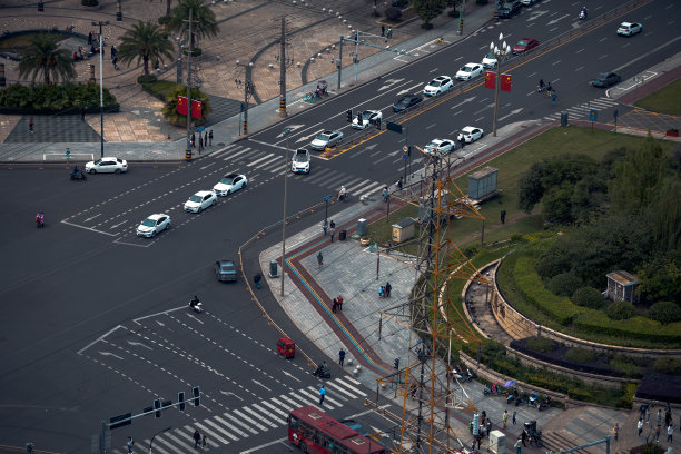 成都和秋天的树图片下载