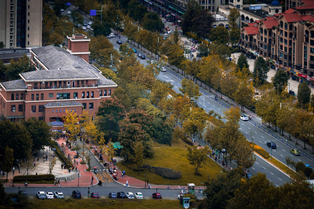 成都和秋天的树图片下载