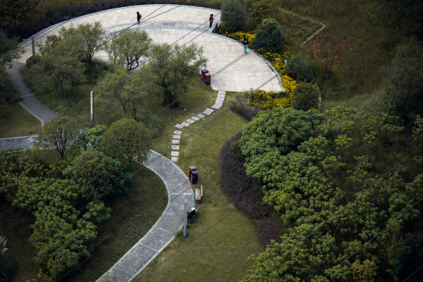 成都和秋天的树图片下载