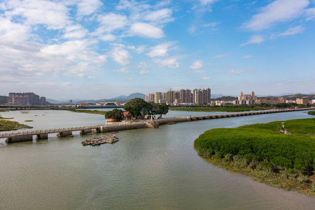 海滨红树林的航拍照片图片下载