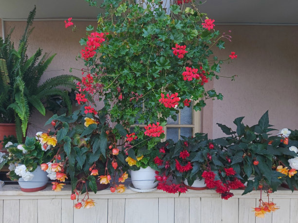 窗户上的装饰花。图片下载