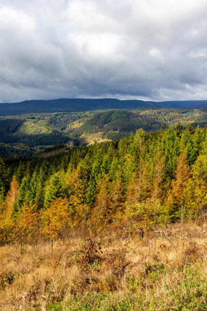 步行到伊尔梅诺附近的Kickelhahn观景台图片下载