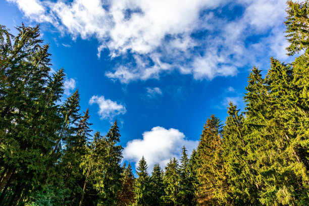 步行到伊尔梅诺附近的Kickelhahn观景台图片下载