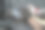 一只在汽车后座上睡觉的斯塔福德郡斗牛梗狗。他的头放在一只波士顿梗狗的床上，那只梗狗也睡着了。它们都用安全带固定在汽车座椅上。图片下载