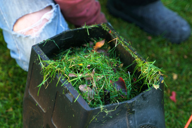 割草机的容器装满了切下的多汁的绿色草混合秋叶。一个男人在后面图片下载