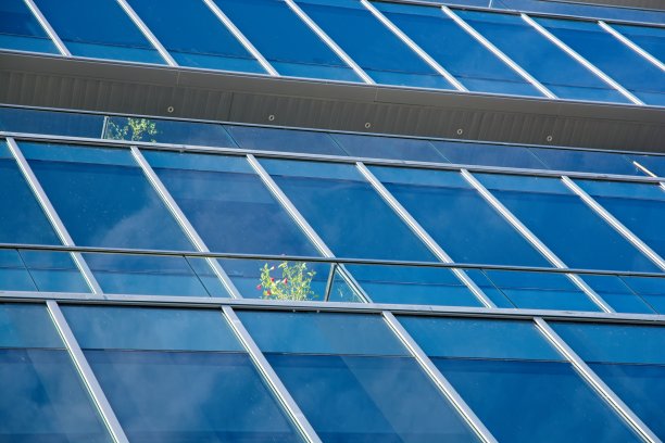 当代建筑阳台高角度观赏开花植物图片下载