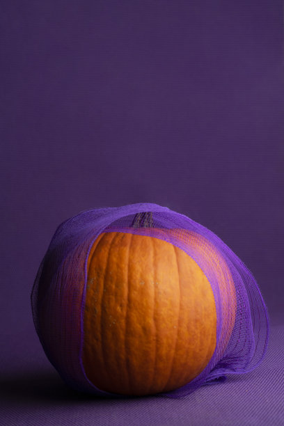 优雅的南瓜。图片下载