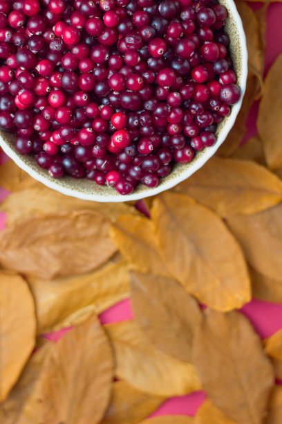 从上面看红色蔓越莓图片下载