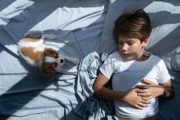 早上男孩抱着一只狗躺在床上。和宠物睡觉。可爱的小狗骑士国王查尔斯猎犬图片下载