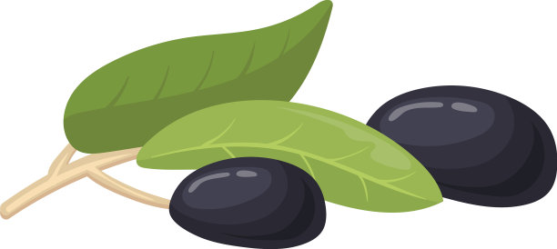 天然黑橄榄卡通生绿色植物图片下载